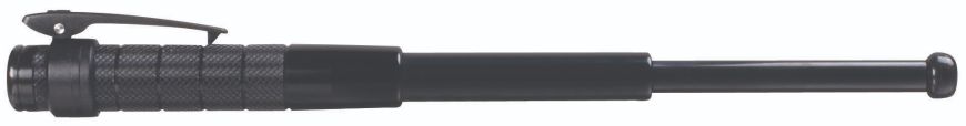 Baston Telescopic Protector Concealable 30cm ASP